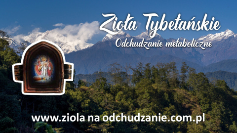 Zioła Tybetańskie " Znhz " na odchudzanie 1 opakowanie suszu ziołowego do parzenia. Zioła Tybetańskie " Znhz " na odchudzanie 1 opakowanie suszu ziołowego do parzenia.